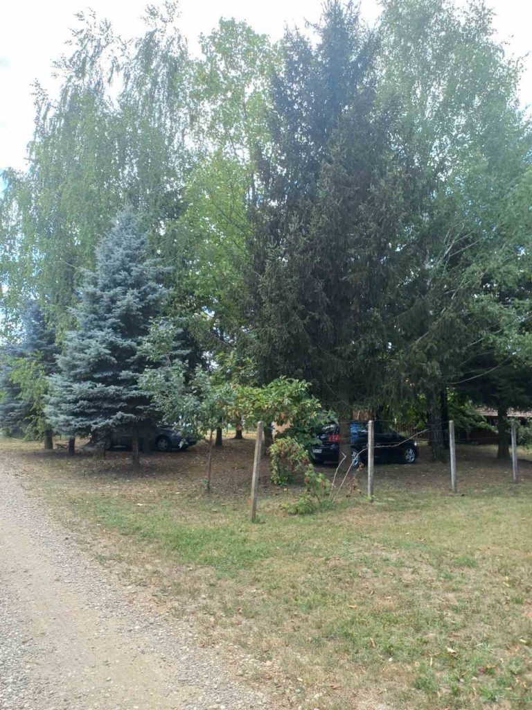 k208 Jošik