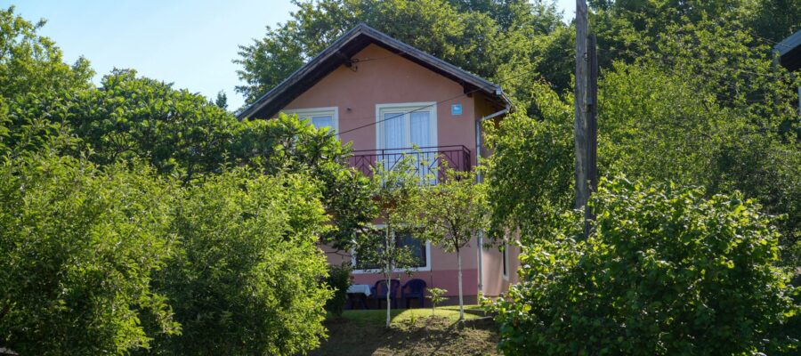 k238 Knežica